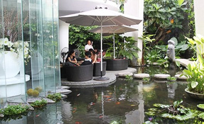 Dịch vụ thiết kế và thi công cảnh quan sân vườn cho nhà vườn, biệt thự, liền kề, VIP resort 5*, càfe shop